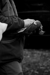 Similar image 8034371