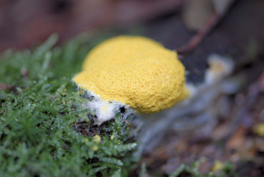 Similar image 8034373