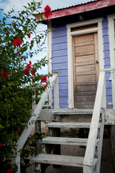 Similar image 8034376