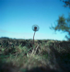 Similar image 8034380