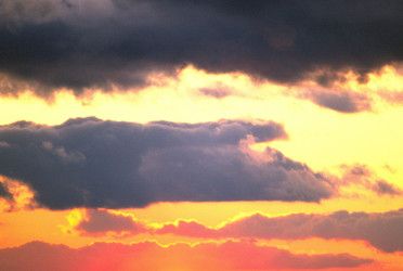 Similar image 8034383