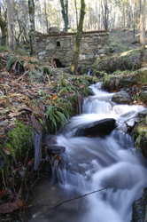 Similar image 8034401