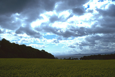 Similar image 8034406