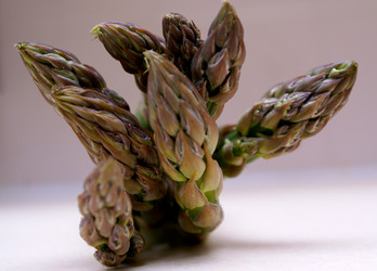 Similar image 8034412