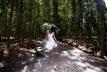 Similar image 8034415