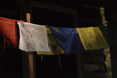 Similar image 8034417