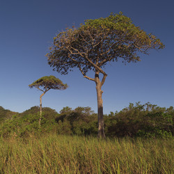 Similar image 8034421