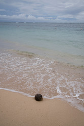 Similar image 8034432