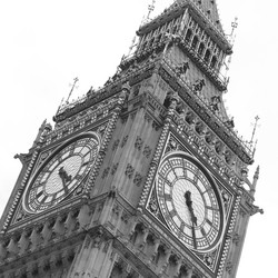 Similar image 8034438