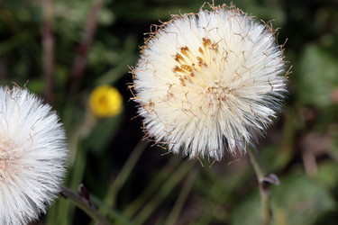 Similar image 8034440