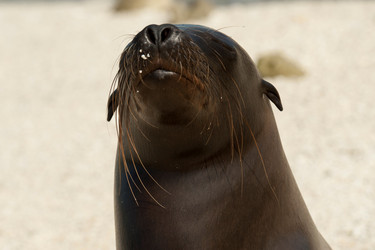 Similar image 8034445