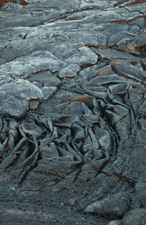 Similar image 8034457