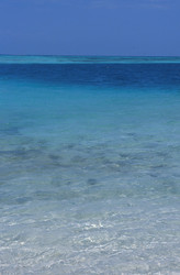 Similar image 8034459