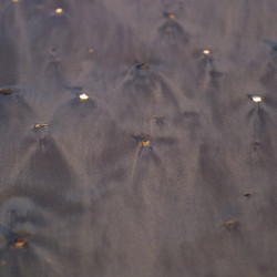 Similar image 8034463