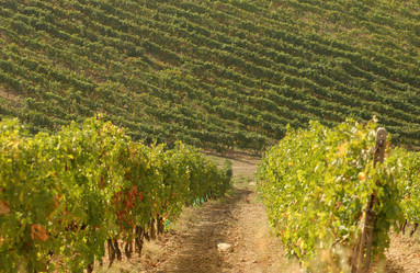 Similar image 8034464