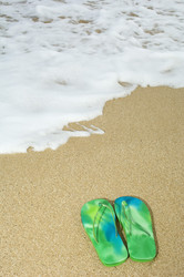 Similar image 8034466