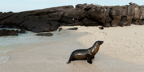 Similar image 8034470