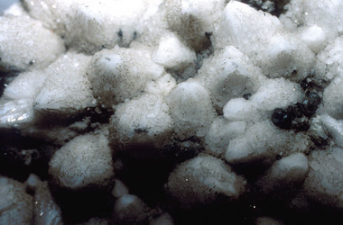 Similar image 8034479