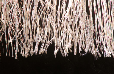 Similar image 8034483