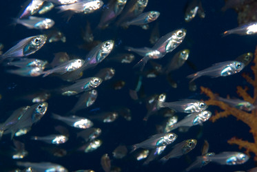 Similar image 8034487