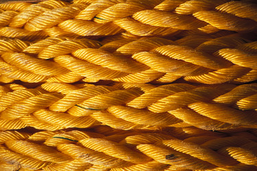 Similar image 8034495