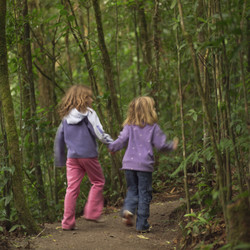 Similar image 8034501