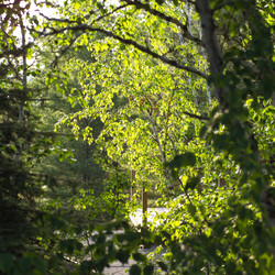 Similar image 8034504