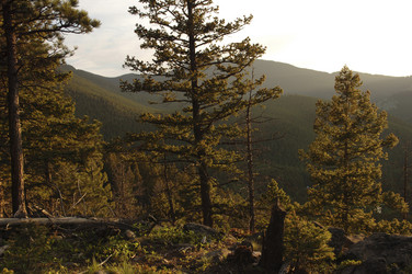 Similar image 8034505