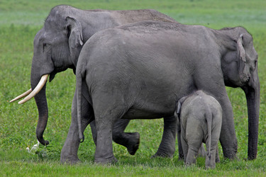 Similar image 8034507