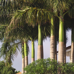 Similar image 8034510