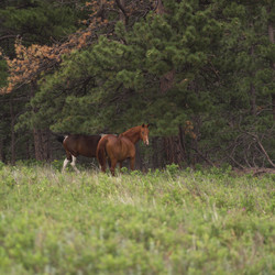 Similar image 8034515