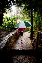 Similar image 8034517