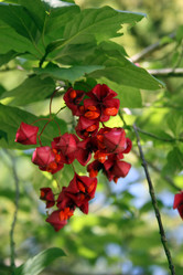 Similar image 8034521