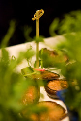 Similar image 8034522