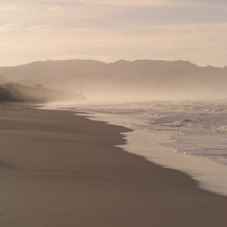 Similar image 8034525