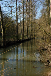 Similar image 8034526