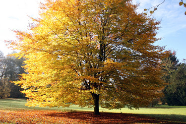 Similar image 8034528