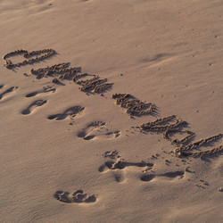 Similar image 8034533