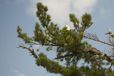 Similar image 8034544