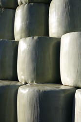 Similar image 8034546