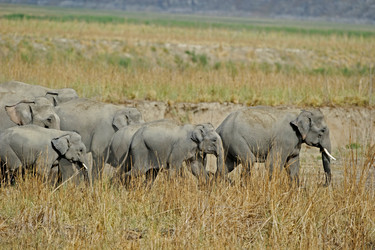 Similar image 8034548