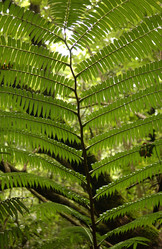 Similar image 8034554