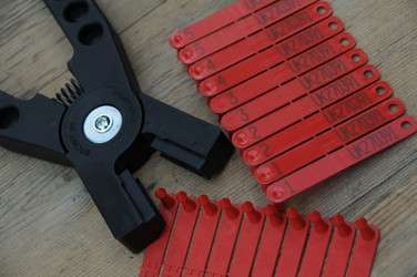 Similar image 8034575