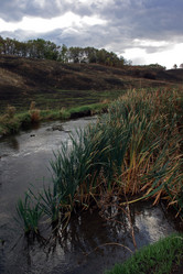 Similar image 8034589