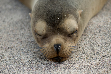 Similar image 8034593