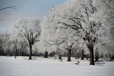 Similar image 8034608