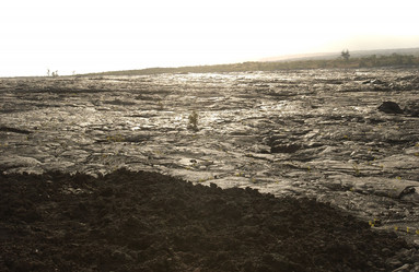 Similar image 8034613