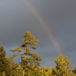 Similar image 8034617