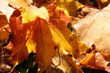 Similar image 8034618