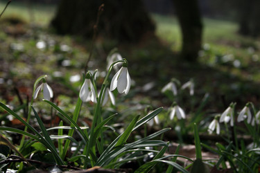 Similar image 8034622